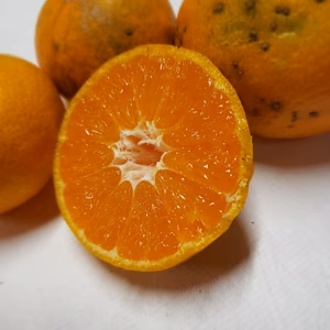 約５㌔　アラシのみかん　中味はジューシー