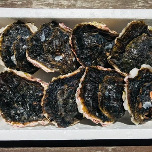 奥能登！里海の恵み！石川県穴水産　濃厚　岩牡蠣（生食用）8個（300g以上/個）