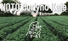 【GOTO生産現場】6月11日カリーノケール収穫＆珪藻土ピザ窯の本格ピッツア体験
