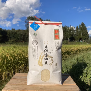 【新米】令和7年長野県産　五百川「信州茅野　米沢吉田米」精米5㎏