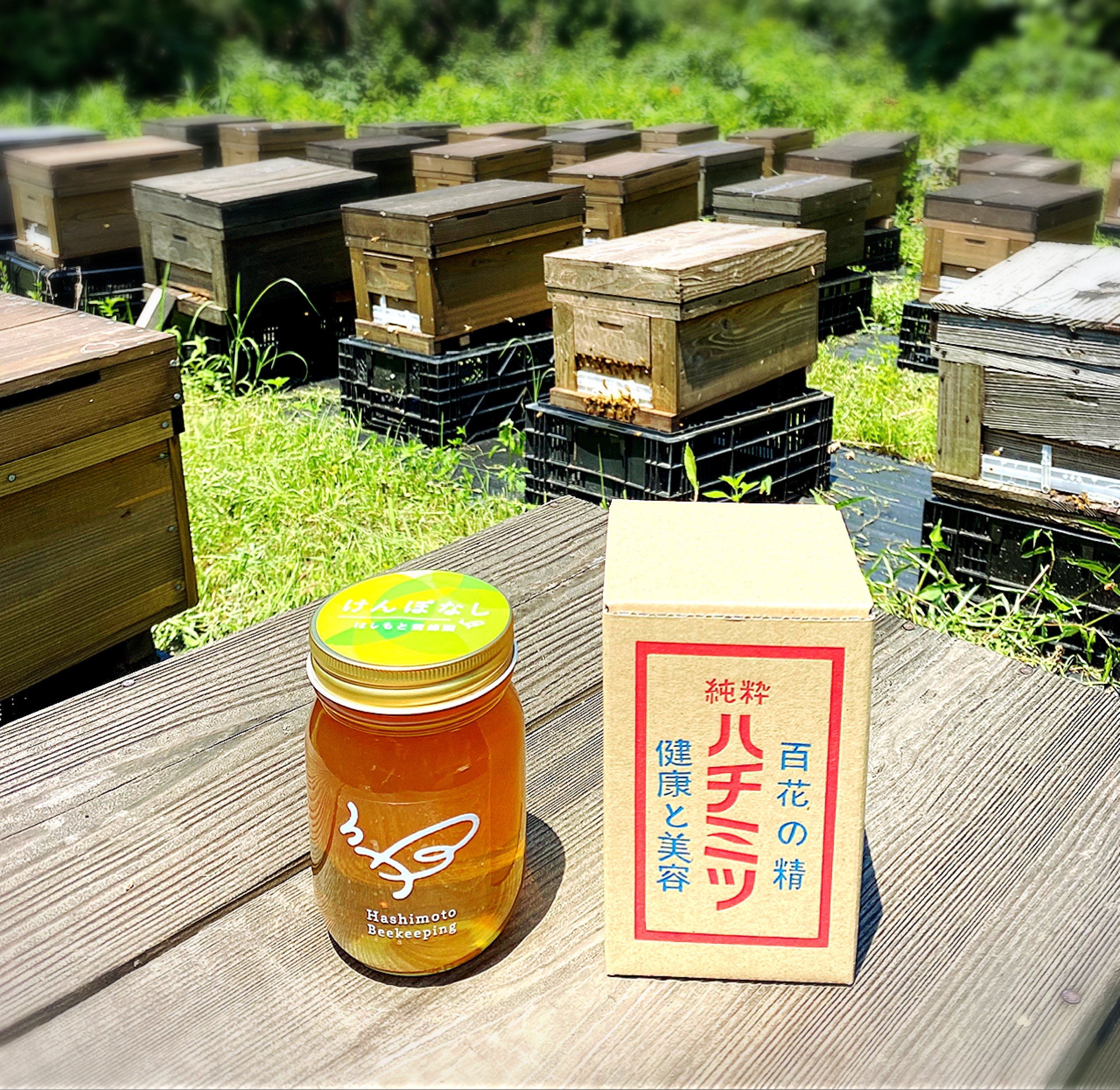 けんぽなし 2025年新潟県産蜂蜜 500g｜蜂蜜の商品詳細｜ポケット