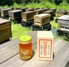 けんぽなし　2023年新潟県産蜂蜜　500g
