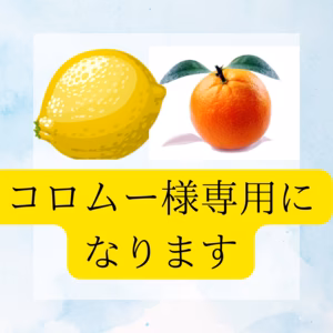 有田みかん小玉3キロ 有田産訳ありレモン3キロ 計6キロセット販売