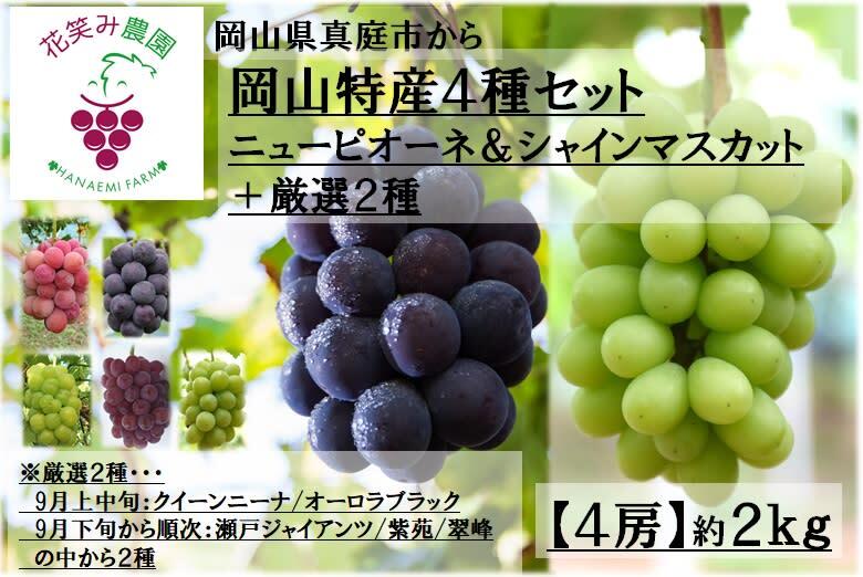 バックナンバー]ぶどう旬ざかり????お得な