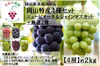 4M-2 花笑み農園　岡山特産4種セット『ピオーネ・シャイン＋厳選2種』約２ｋｇ