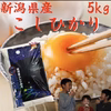 新米　令和7年産 新潟県産　コシヒカリデラックス5キロ〜 30キロ (白米)
