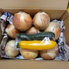ズッキーニと玉ねぎ(大きめサイズ)のセット