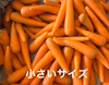 砂地栽培 新鮮なにんじん 訳あり規格外人参 箱込5キロ 大小混合