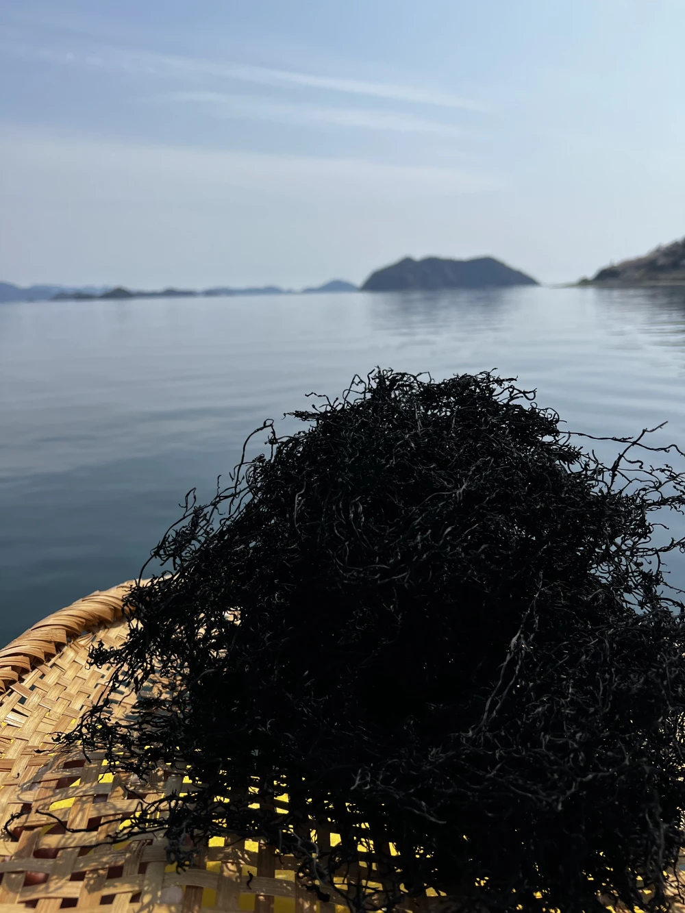 愛媛県佐田岬産　昔ながらの伝統製法　薪炊き鉄釜ひじき　３袋セット