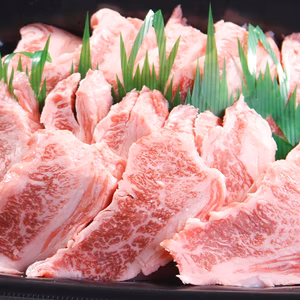 鳥取和牛 中落カルビ 焼き肉用 切り落とし