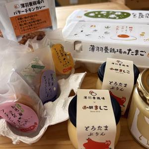 【福袋2026】"大入り"薄羽養鶏場のたまごセット