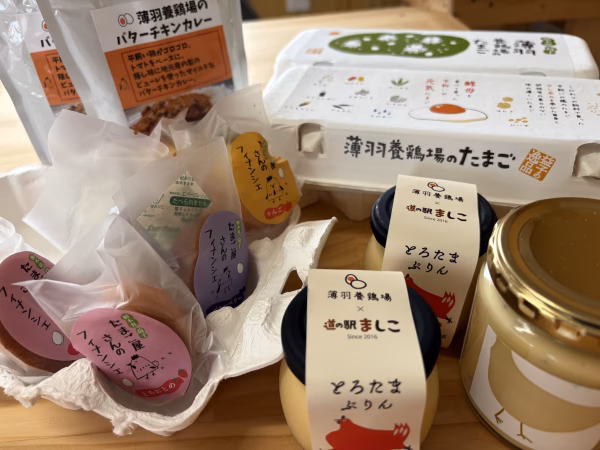 【福袋2026】"大入り"薄羽養鶏場のたまごセット