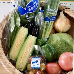 着指定可！湖国からの旬便り！おまかせ新鮮野菜セット(冷蔵発送)