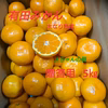 【ギフト用】木成り熟成！ 極早生有田みかん 5㎏