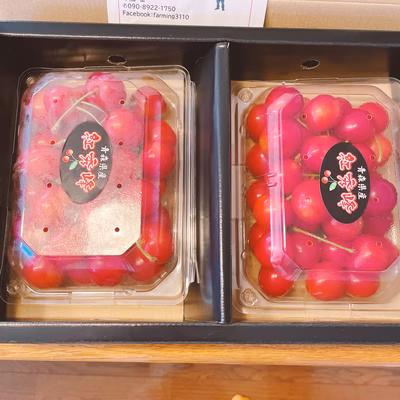 みんなの投稿の画像