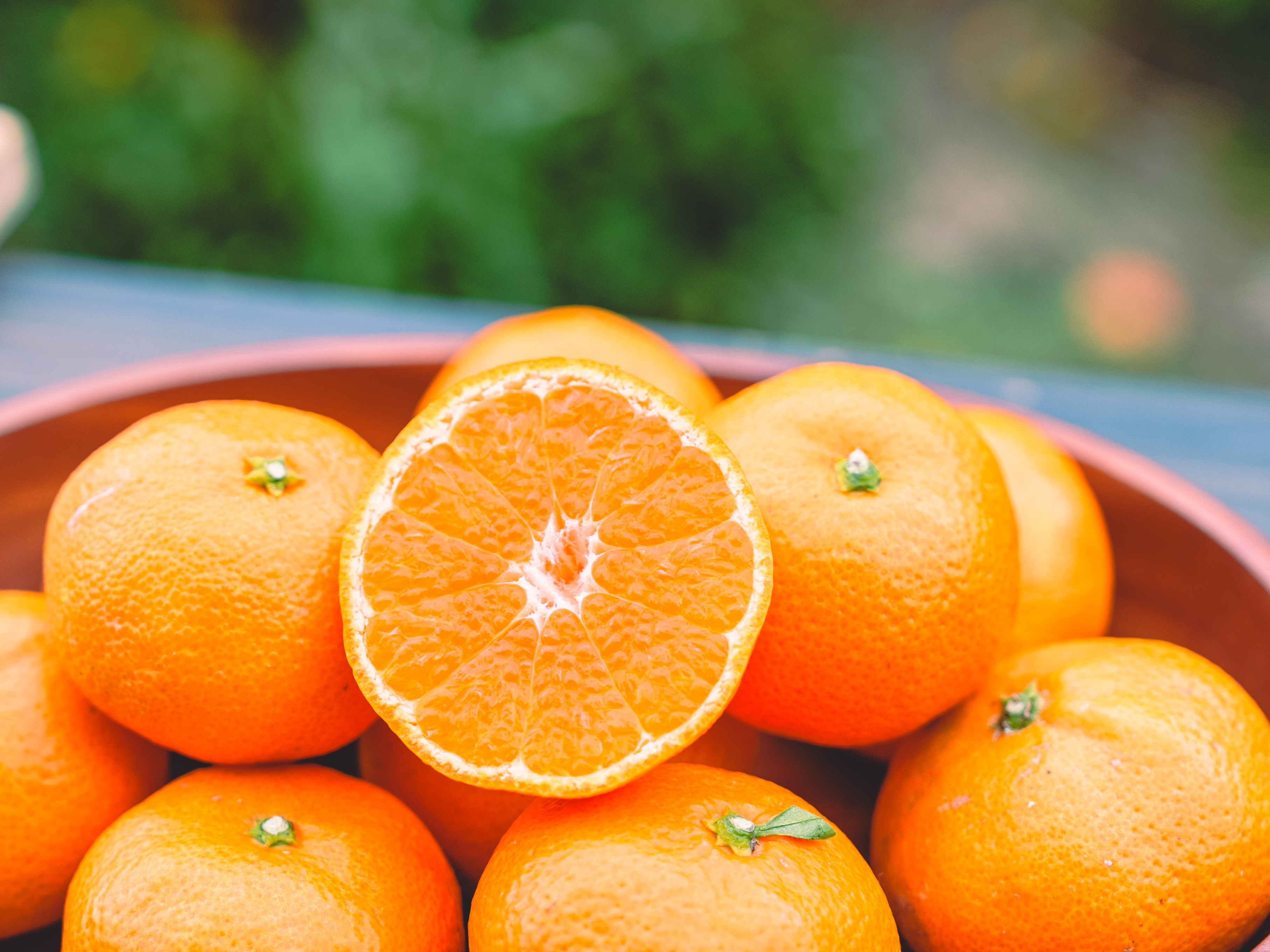 南柑20号の産直通販・お取り寄せ商品｜ポケットマルシェ｜産地直送で旬