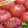 長野産シナノスイート 訳あり小玉10kg 減農薬 葉とらず9月中旬頃出荷開始予定