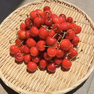 きみちゃん様専用ページ