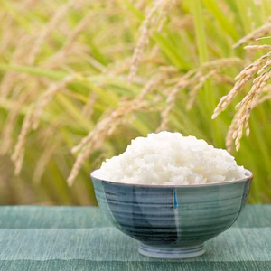 21歳若手農家が作るお米3品種　食べ比べセット（つや姫・雪若丸・はえぬき)