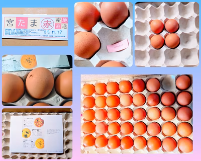 みんなの投稿の画像