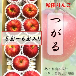 甘さあふれる 秀品 リンゴ つがるりんご 旬 秋田　冷蔵