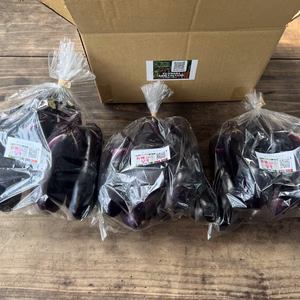 ☆有機JAS認証☆茄子500g×3袋
