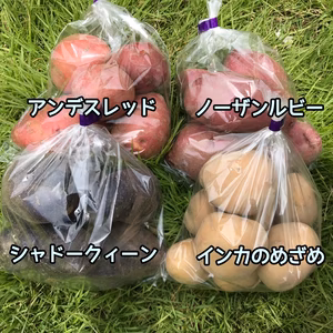 カラフルじゃがいも(レシピ付き)