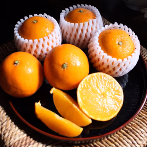 愛媛県産 まどんな（愛媛試験果28号）　2024/12/15頃発送予定