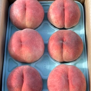 ★爽やかな夏ギフトにぴったり★まどか 2kg 6～9玉入り  山形県の農園直送