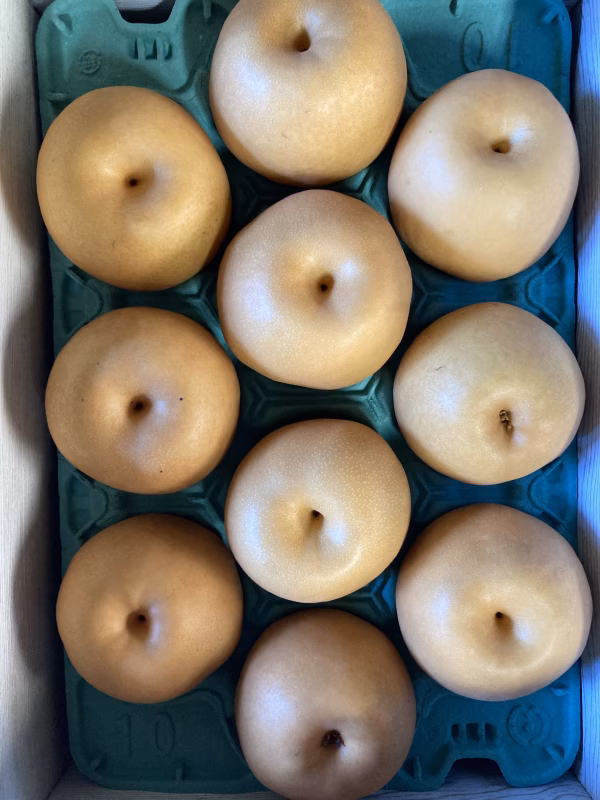 《ちょっと訳あり》新高梨　5キロ前後