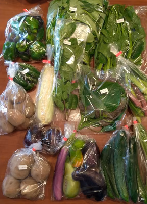 みんなの投稿の画像