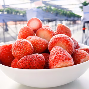《新鮮 朝採れいちご凍らせました♪》フローズンストロベリー1㎏【埼玉県羽生市産】
