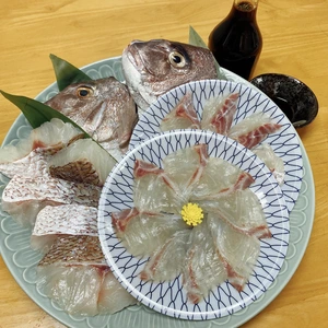 【夏ギフト】鮮度抜群真鯛&もらって嬉しい九州の専用調味料セット《firesh™》