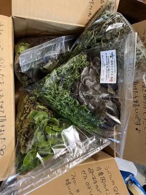 みんなの投稿の画像