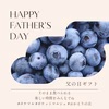 お父さんありがとう 生ブルーベリーギフト