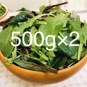 【減農薬栽培】　ベビーリーフ　500g×2パック　