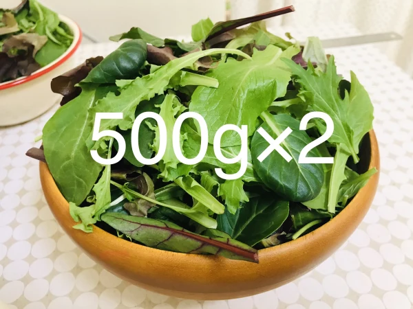 【減農薬栽培】　ベビーリーフ　500g×2パック　