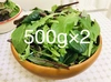 【減農薬栽培】　ベビーリーフ　500g×2パック　