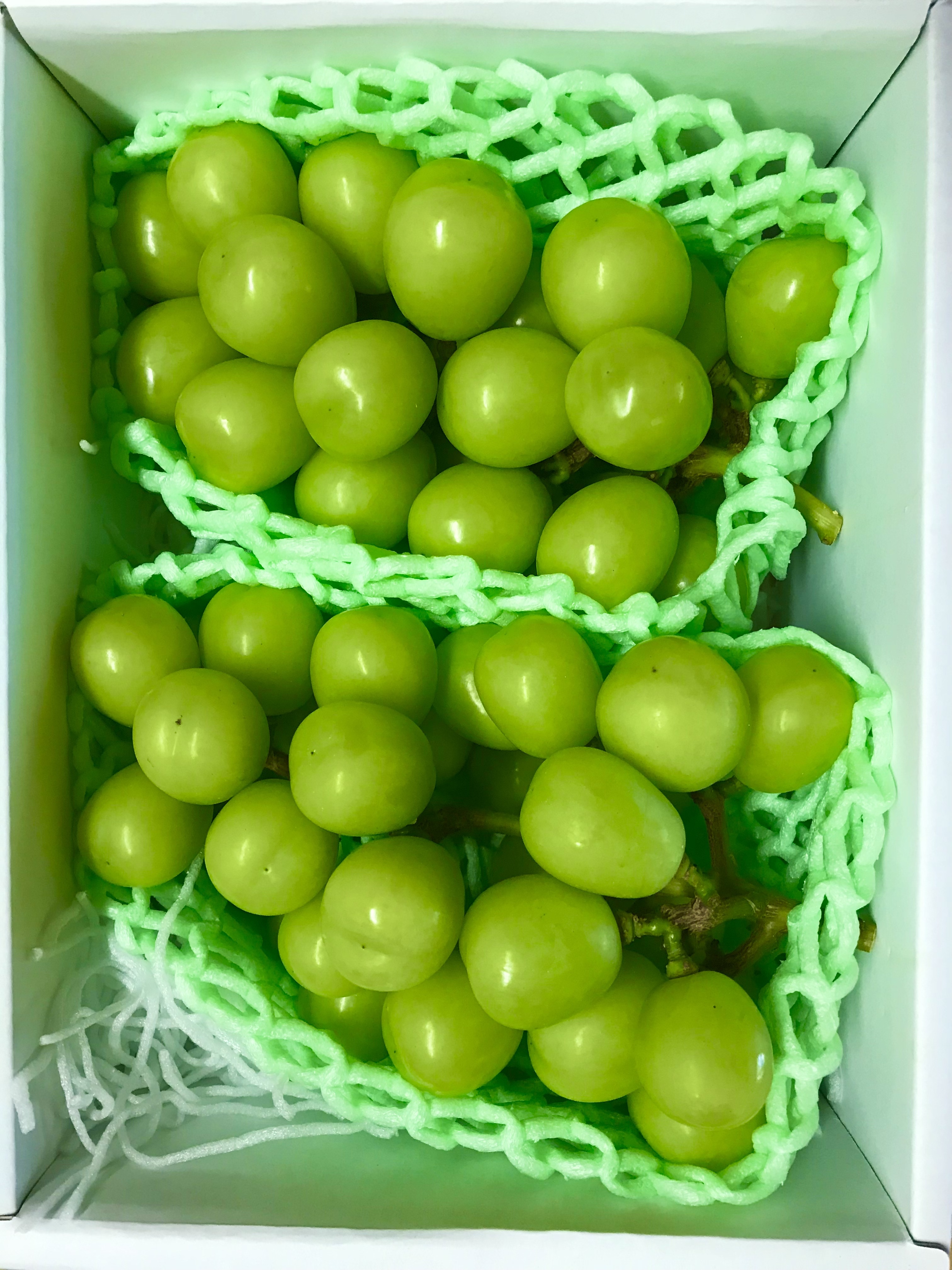 冷蔵便】シャインマスカット《中箱》2房1.1-1.4kg ｜ぶどうの商品詳細