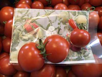 みんなの投稿の画像