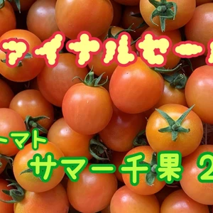訳ありミニトマト2キロ(北海道から関東までの方限定)