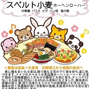 北海道産スペルト小麦粉ホーヘンローハー750g