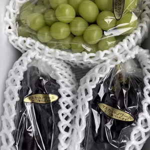 黒緑セット！マスカットノワール2房600g、シャインマスカット500g以上合計