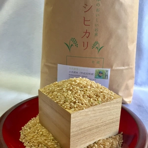 無農薬無施肥天日干しコシヒカリ「小太郎米」玄米