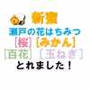 2024新蜜「桜/みかん/百花/玉ねぎ」食べ比べセット