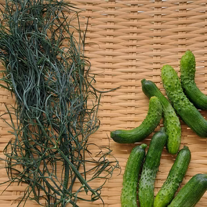 自宅で簡単に作れちゃう！絶品ピクルス手作りセット！