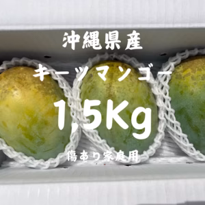 沖縄県産 キーツマンゴー 1,5Kg(傷あり家庭用)