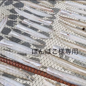 ぽんぽこ様専用