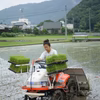 お試しセット♪岡山県備前市産「アヒルのお米」元年度産3合白米1袋・玄米1袋
