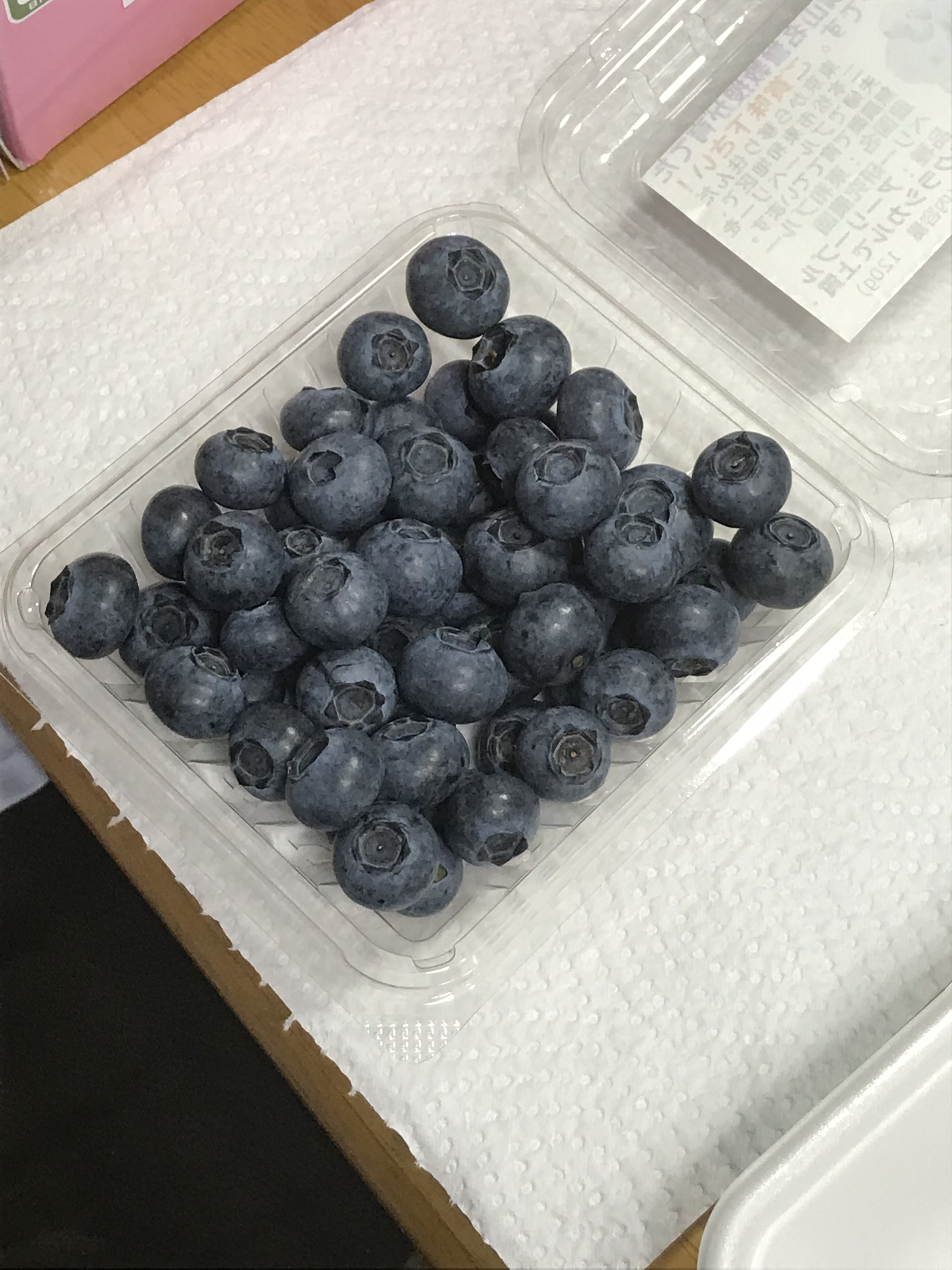 福島県二本松市｜東和ブルーベリー研究農園｜横山 正さんの生産者